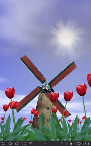 Download Free Android Wallpaper Tulip Windmill - 2047 