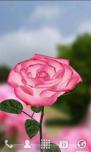 Download Free Android Wallpaper 3D Rose - 2233 