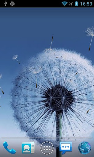Download Free Android Wallpaper Galaxy S3 Dandelion Water - 2264 -  