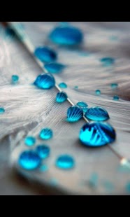 Download Free Android Wallpaper Water Drops - 2593 