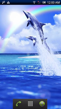 Download Free Android Wallpaper Dolphin Blue - 2952 