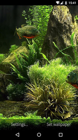 Download Free Android Wallpaper Fish Aquarium 3D - 3171 