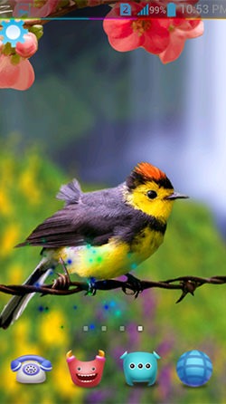 Download Free Android Wallpaper Birds 3D - 4039 