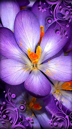 Android Wallpaper Purple Flowers - 4098