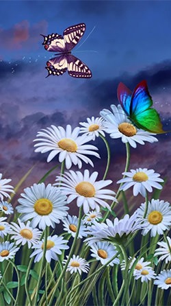 Download Free Android Wallpaper Summer: Flowers And Butterflies - 4179 -  